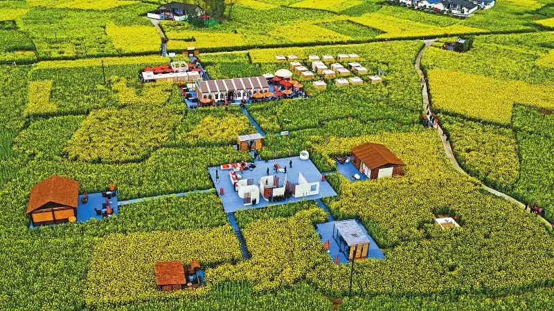 破解乡村旅游产业规划高质量发展路径