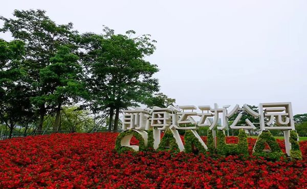 城市运动公园是怎样分类的？其特征及规划设计原则有哪些？