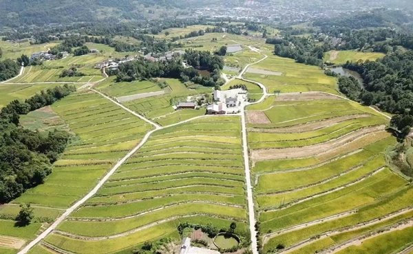 乡村振兴设计案例之紫云村规划设计