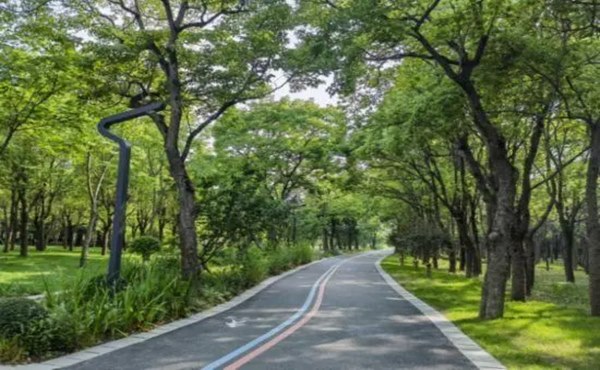 滨河绿道规划设计要素